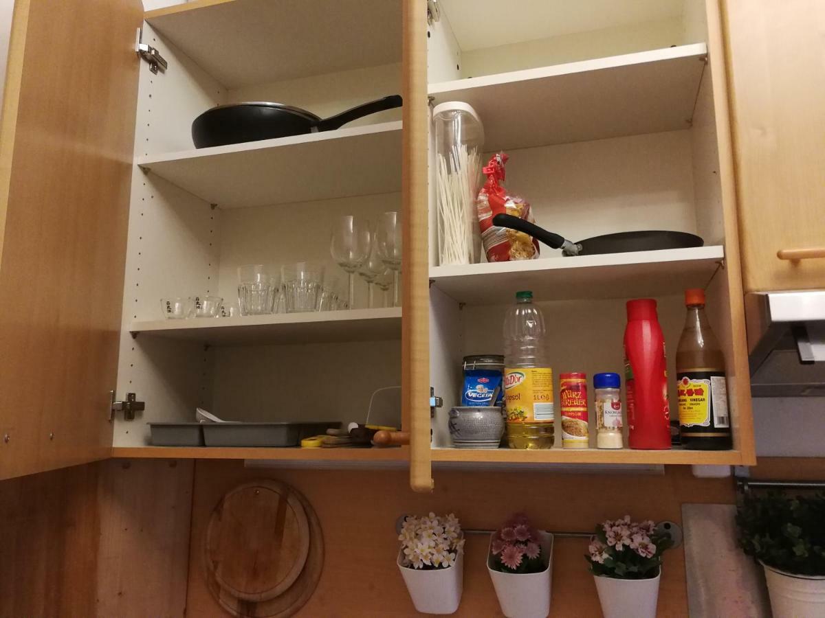 Jungle Apartment Vienna Self Check-In エクステリア 写真